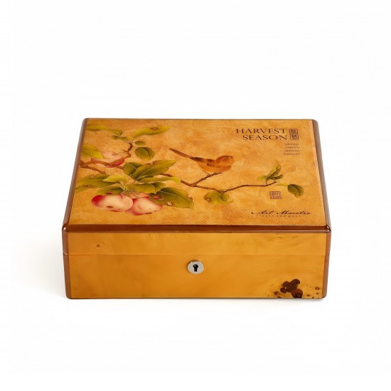 cigar wooden box humidor