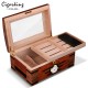  humidified cigar box
