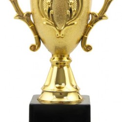 NOLITOY Gold Trophy Cup Plastic Award Trophies Cups First Place Winner Award Trophies Cup for Sports Tournament Competition Kids Parties