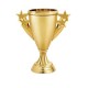 Trophy wooden base