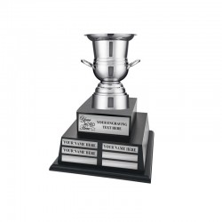 Perpetual Fantasy Football Trophy - Customizable Championship Trophy Award Winner | Free Engraving up to 19 Years Past Winners (Vivid Black)