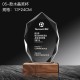 Wood base trophy 