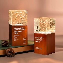 Creative Bubble Crystal Wooden Trophy, Customizable Glow-in-the-Dark Night Light, Medal for Outstanding Employees, Anniversary and Award Ceremony