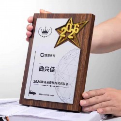 Innovation Award Plaque, Authorization Plaque, Honor Plaque, Wooden Plaque with Bronze Inlay, Wooden Certificate, Custom-made Award Plaque, Bespoke Trophy