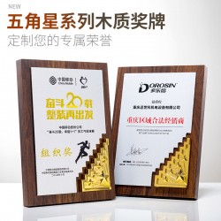 Innovation Award Plaque, Authorization Plaque, Honor Plaque, Wooden Plaque with Bronze Inlay, Wooden Certificate, Custom-made Award Plaque, Bespoke Trophy