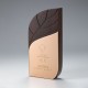 Corporate employee recognition wood trophy