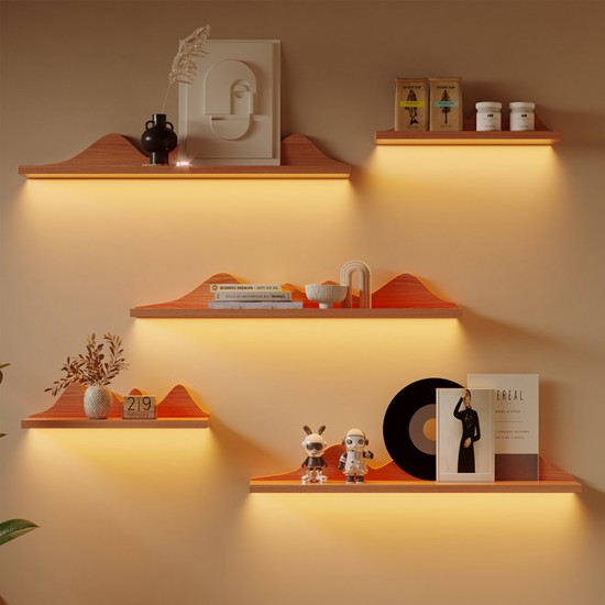 Wall-mounted storage rack