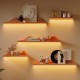 Wall-mounted storage rack