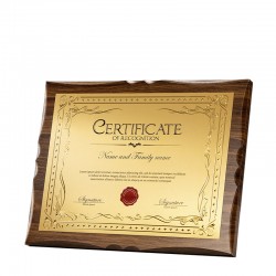 Custom - made medals, customized high - end authorization plates, customized honor plaques, agent authorization plates, employment certificates, and trophy production