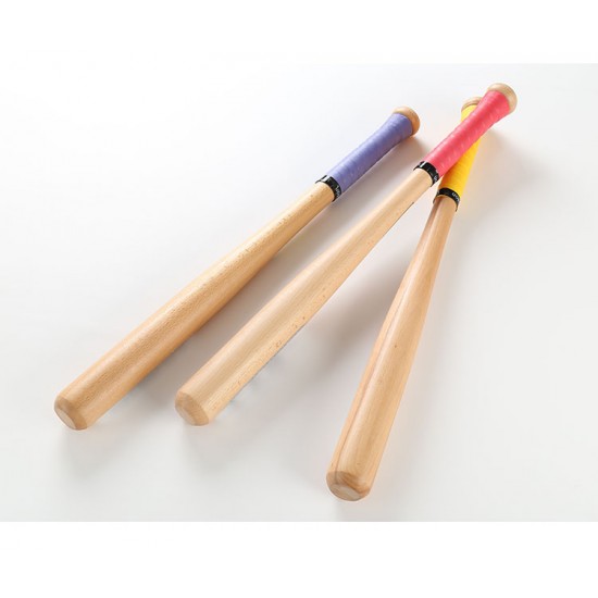 Training Baseball Bat 