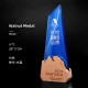Carved wooden trophy 