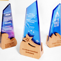 Solid wood trophy customization: high-end, elegant awards for outstanding employees