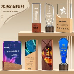Custom Solid Wood and Crystal Creative Trophy – Premium Custom Award for Annual Corporate Events, Outstanding Employee Competitions, and Champion Recognition