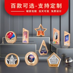 Creative Premium Wooden Crystal Trophy for Annual Meeting Awards and Employee Recognition