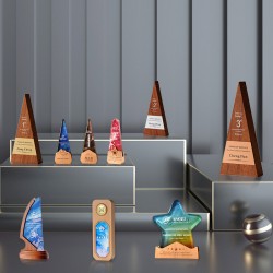 Creative Premium Wooden Crystal Trophy for Annual Meeting Awards and Employee Recognition