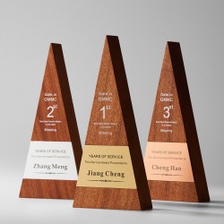 Creative Premium Wooden Crystal Trophy for Annual Meeting Awards and Employee Recognition