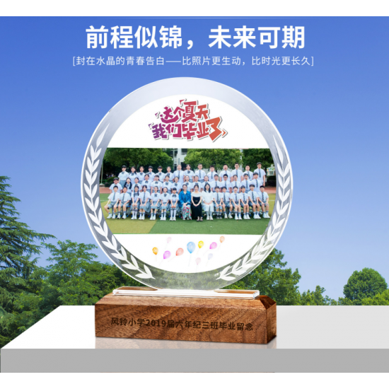 Mahogany Solid Wood Trophy 