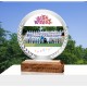 Mahogany Solid Wood Trophy 