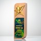 Souvenir Trophy