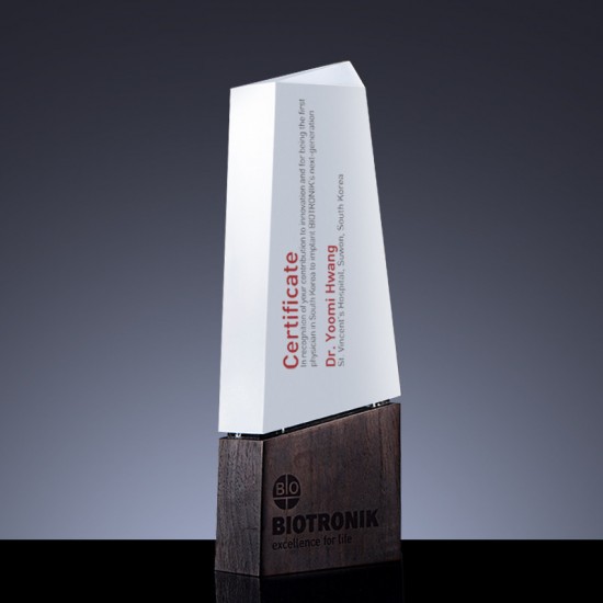 Ebony wood trophy 	