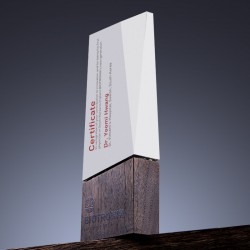 Jingchen Crystal Solid Wood Trophy – Customized Individual Recognition Trophy, Award Ceremony Trophy, Authorized Medal, and Custom-Made Orders
