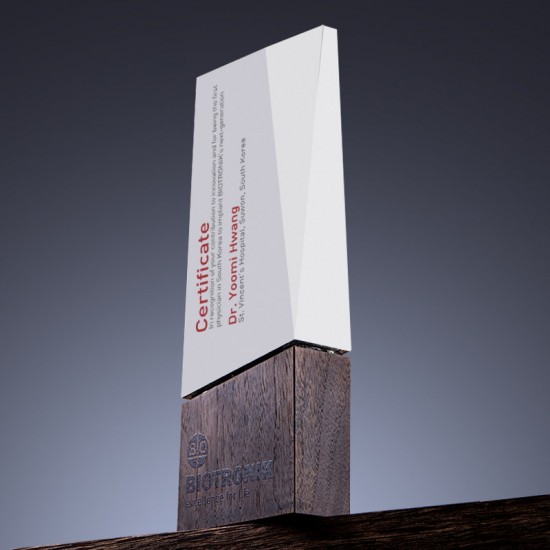 Ebony wood trophy 	