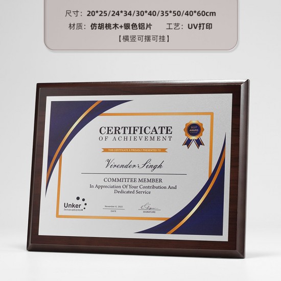  school wooden medals	