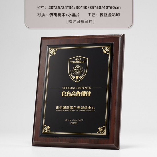  school wooden medals	