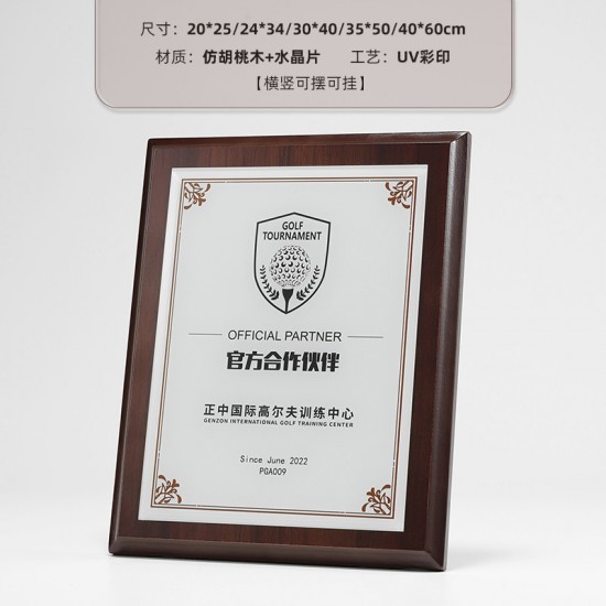  school wooden medals	