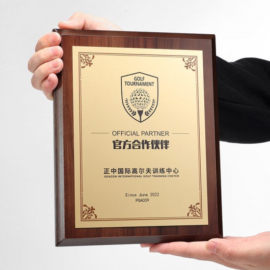  school wooden medals	