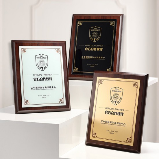  school wooden medals	