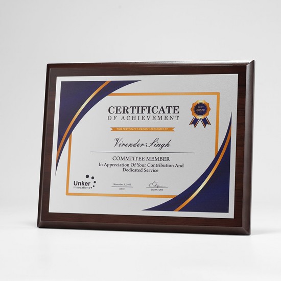  school wooden medals	