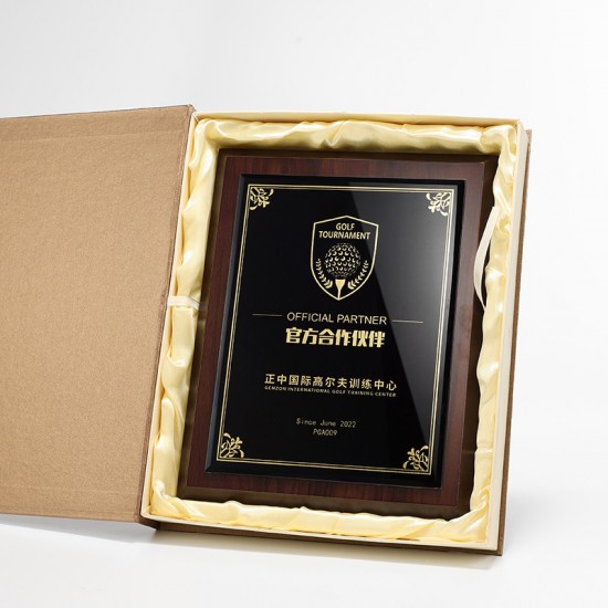  school wooden medals	