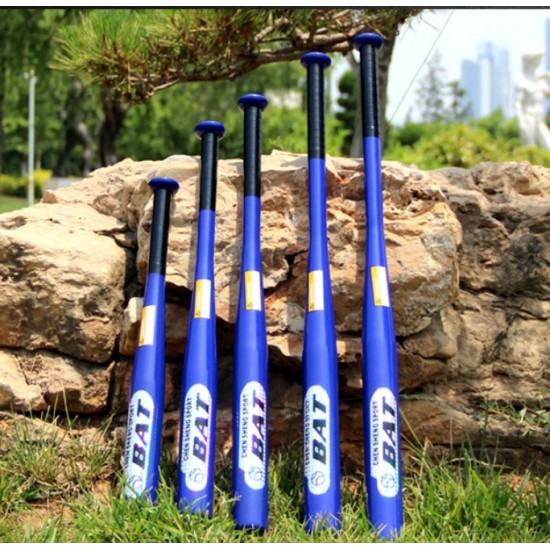 Souvenir Bat 