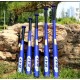 Souvenir Bat 