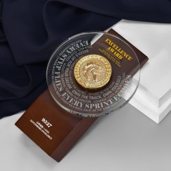 Custom Crystal Trophy, Solid Wood Round Medal, Annual Meeting Award, Employee Recognition Trophy, “Horse Year Helmsman” Commemorative Trophy