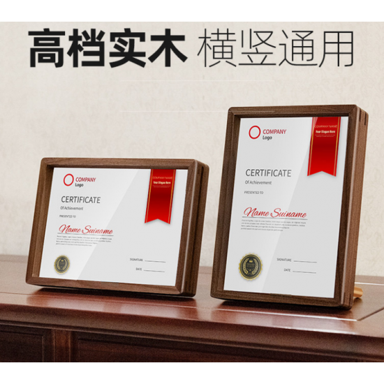 Enterprise Award Medal	