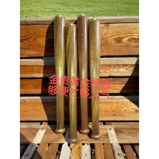 Training baseball bat